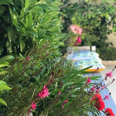 La Casetta Di Gio' Apartment *